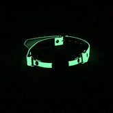 Love In Leather Glow in the Dark Gag With Ball Bondage Gags and Bits